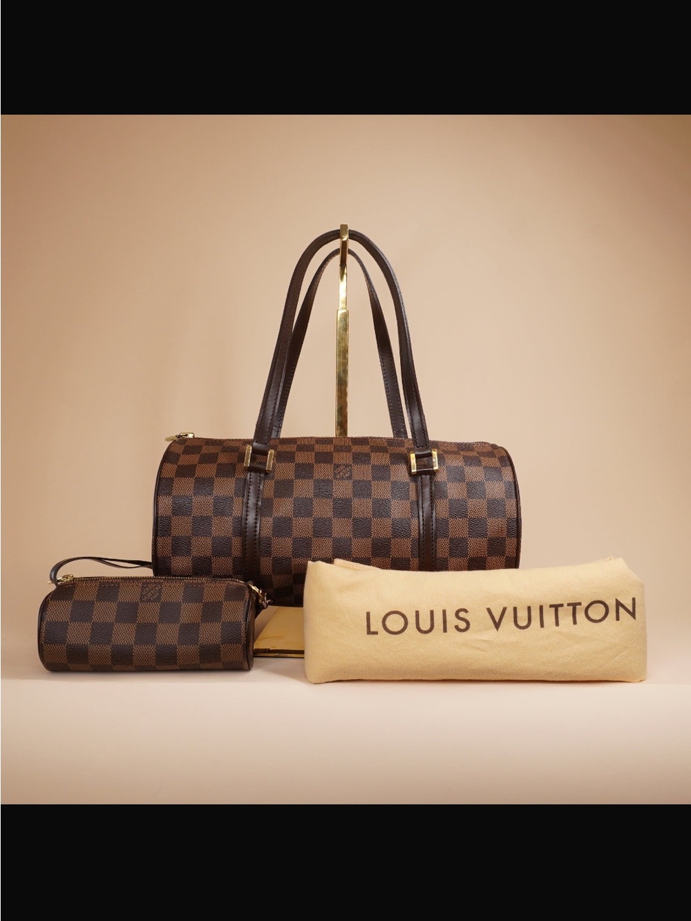 Louis Vuitton Damier Ebene Papillon bag.